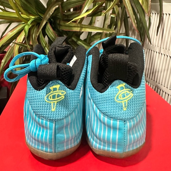 foamposite weatherman size 12